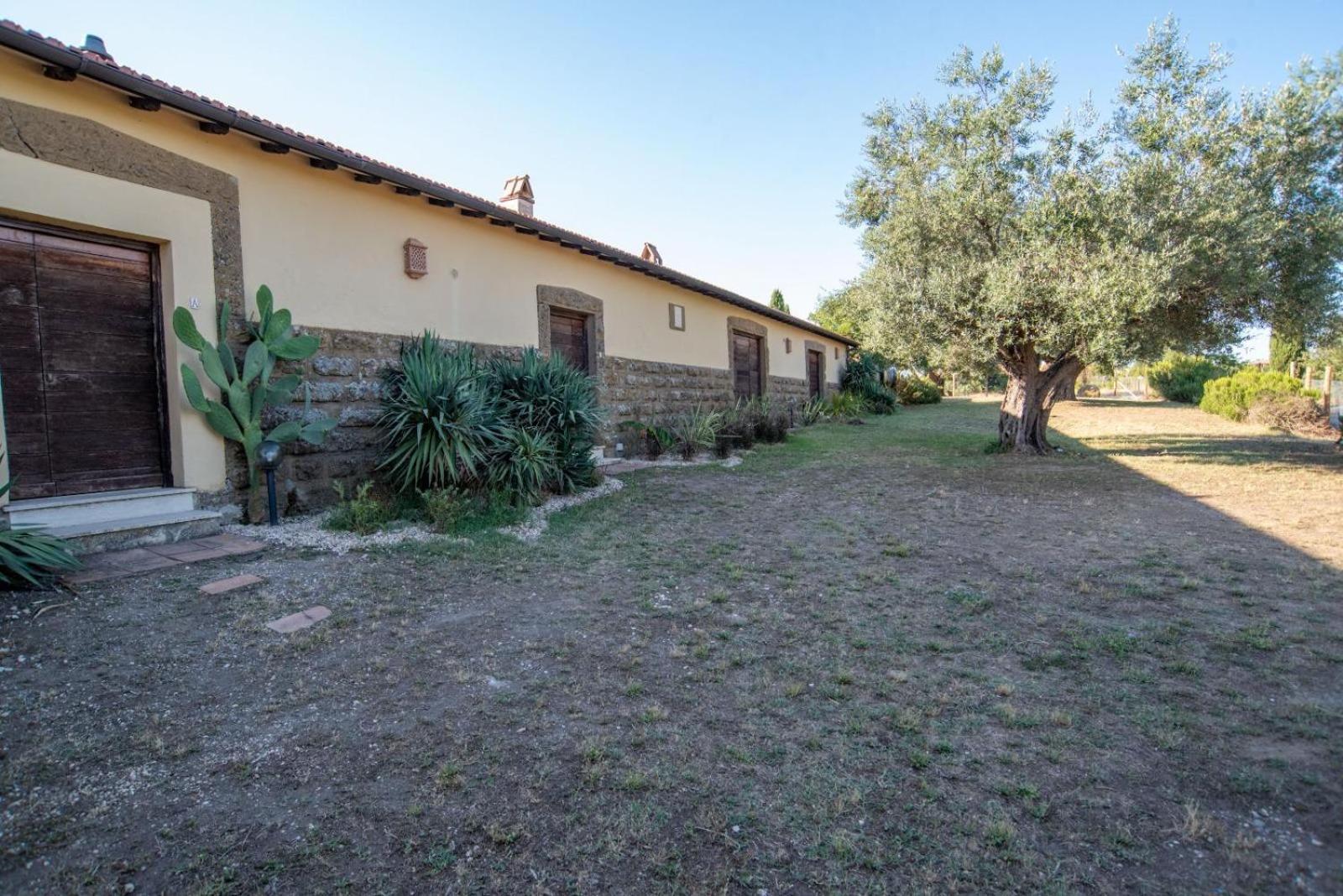 Agriturismo Cerrosughero Canino Екстер'єр фото