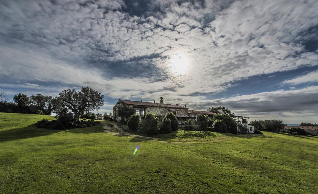 Agriturismo Cerrosughero Canino Екстер'єр фото